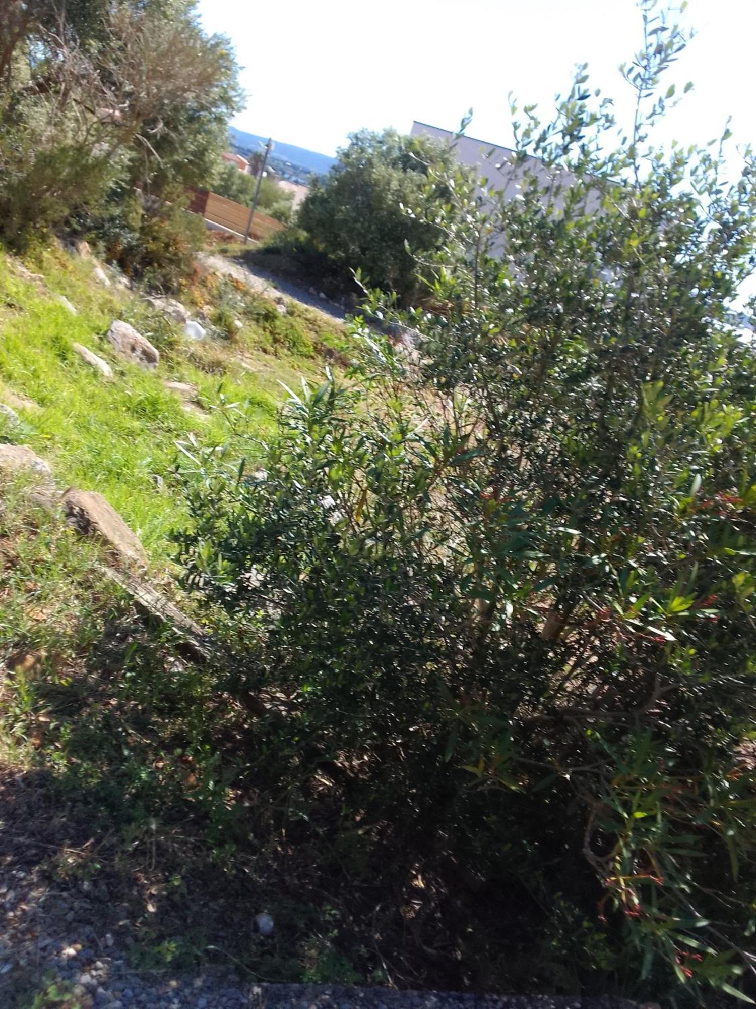 Gite De L'Etang Proche Des Grands Buffets Narbona Esterno foto